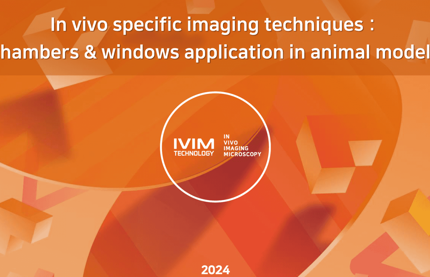 IVIMアクセサリー.png