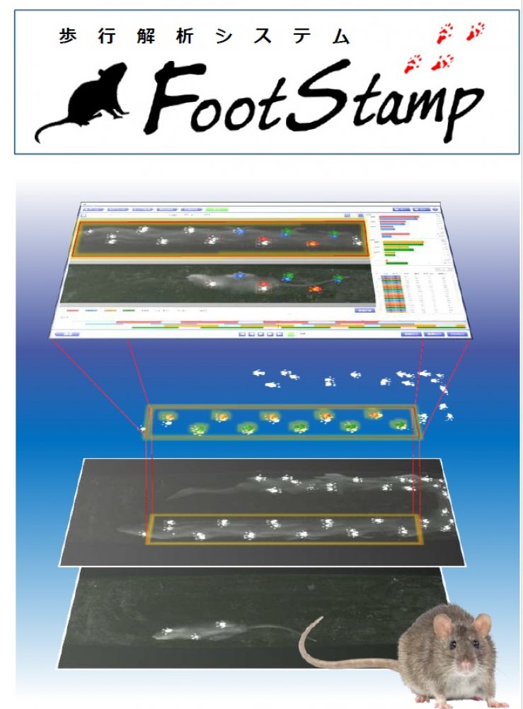 footstamp.jpg